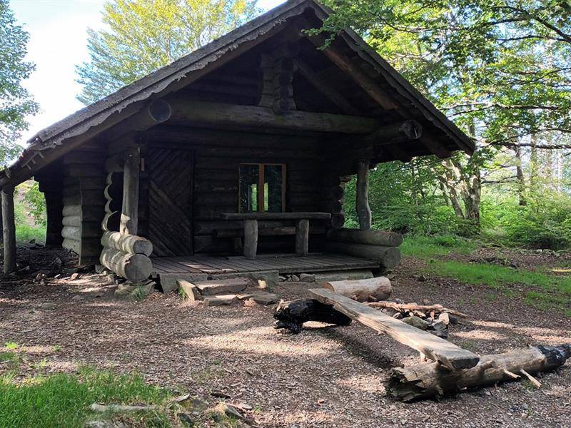 Randonnée : Circuit du Chalet Sommerseite depuis le lac du Lachtelweiher