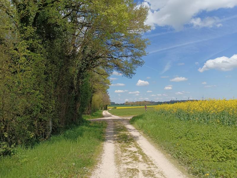 Randonnée : Entre château et fresques- Pioussay