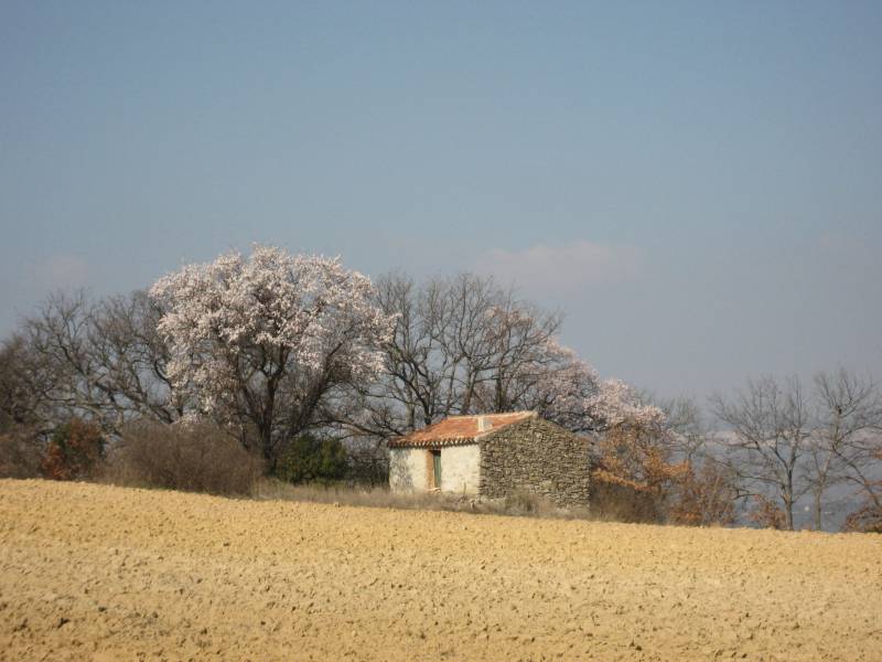 Randonnée : Randonnée dans la campagne autour de Peynier