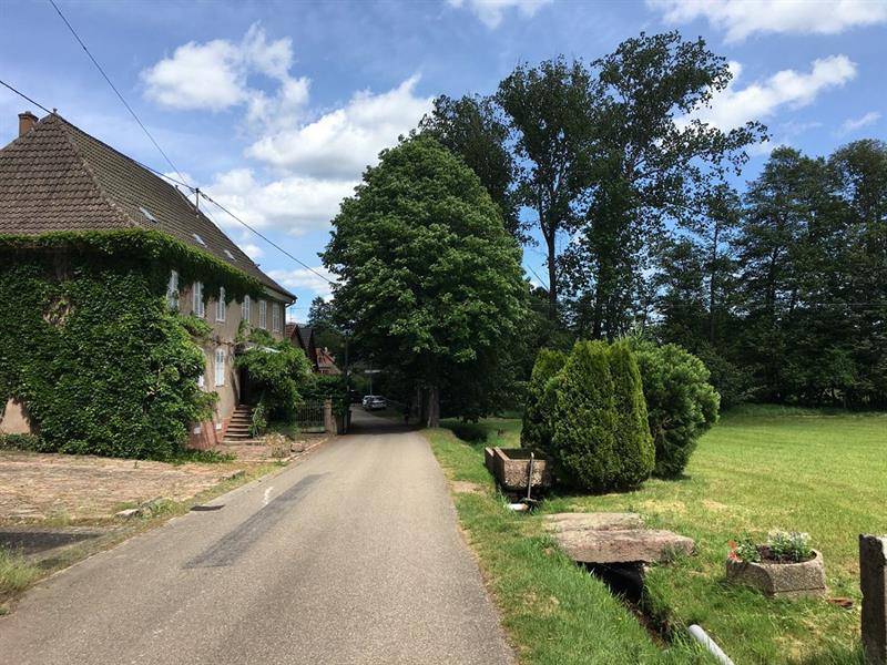 Randonnée : Balade ludique à Bassemberg