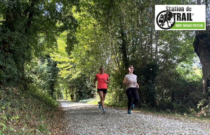 Randonnée : Ombres et lumières en forêt de Chizé - Station de Trail
