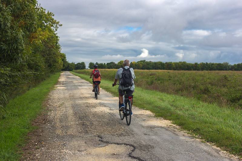 Randonnée : Tour de Gironde à vélo : étape 15 - Blaye / Bordeaux