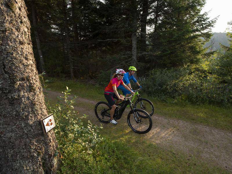 Randonnée : Circuit VTT 9 - Les hauteurs d'Ammerschwihr