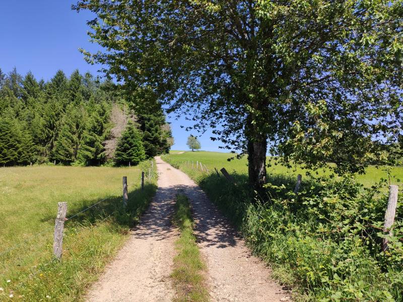 Randonnée : Boucle du Mont Larron