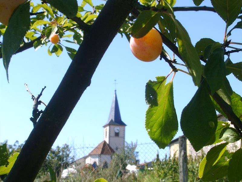 Randonnée : Balade autour de Rozelieures
