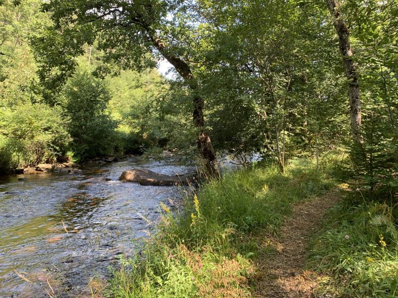 Randonnée : Le Bois de Chaleix