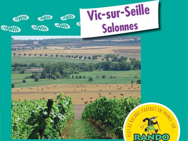 Randonnée : Balades ludiques - Vic-Sur-Seille - Salonnes