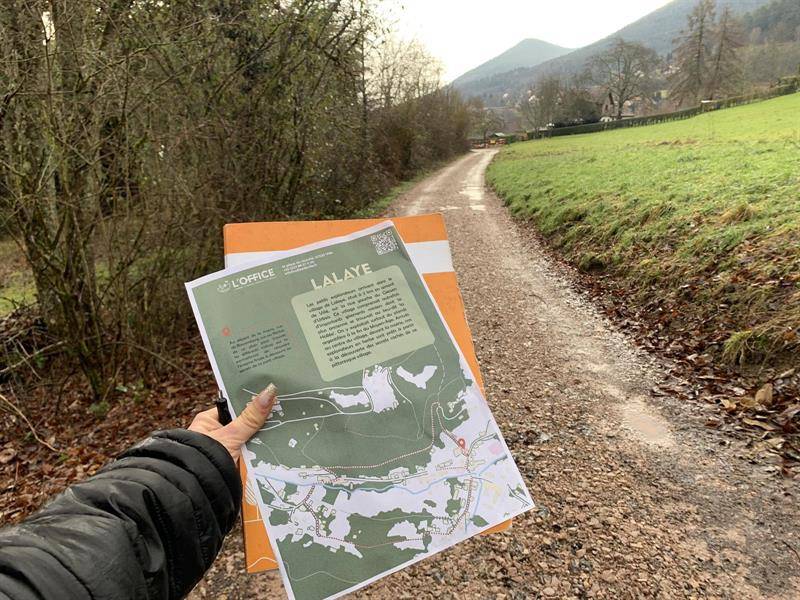 Randonnée : Les petits explorateurs à Lalaye