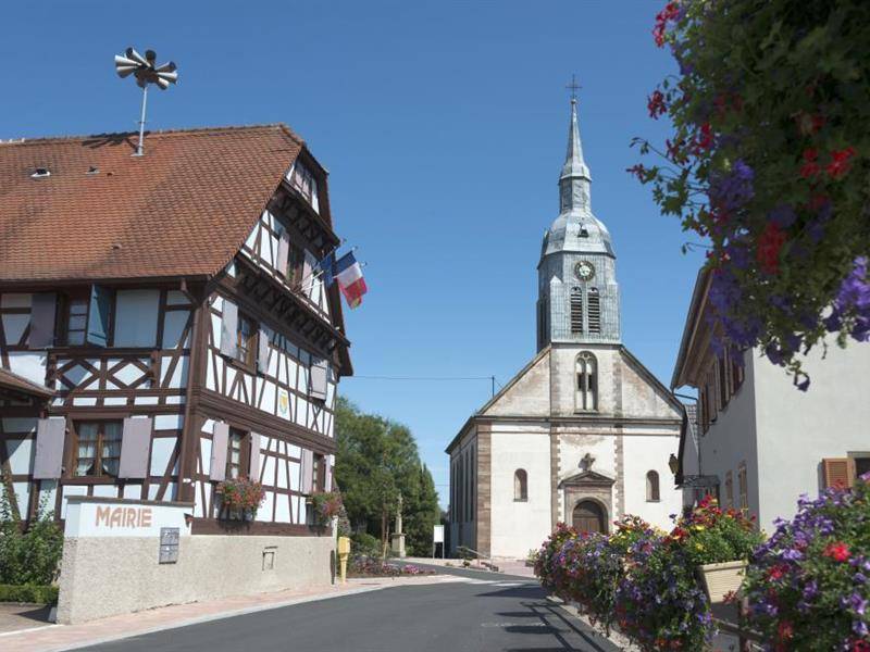 Randonnée : Sentier : Avenheim-Pfulgriesheim