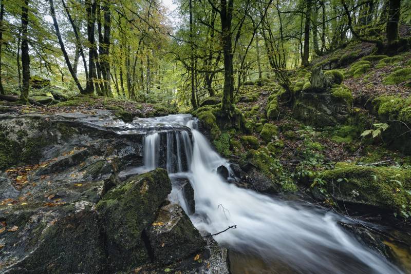 Randonnée : La Cascade de la Tine
