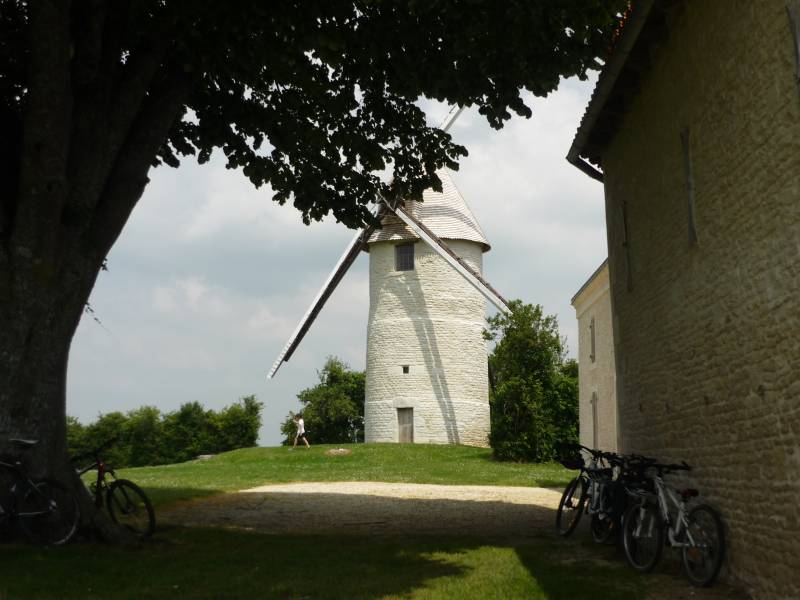 Randonnée : Beauvoir-sur-Niort : entre plaine et forêt