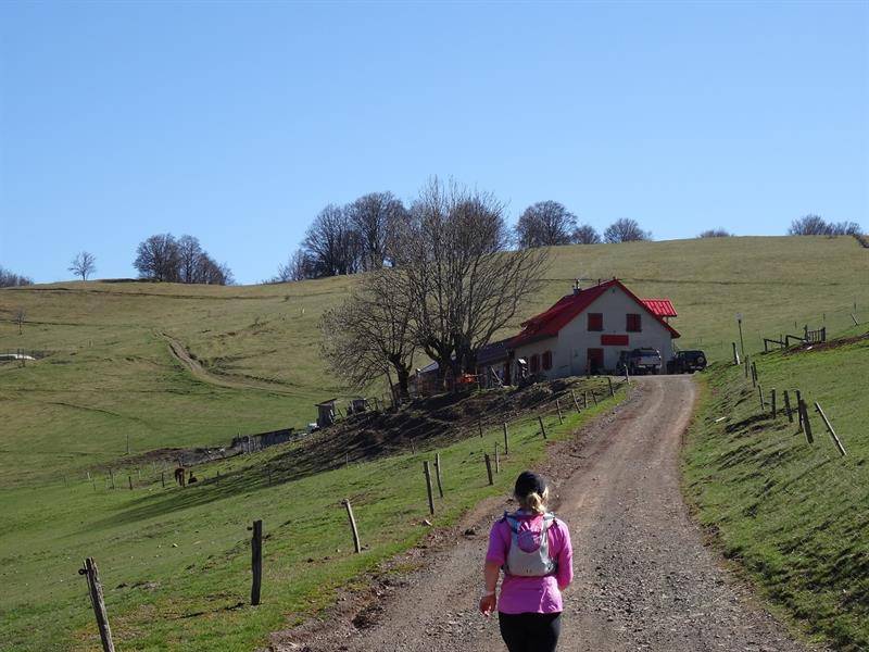 Randonnée : Trail - Mitzach-Belacker