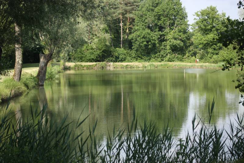 Randonnée : Le Sentier de l'Etang d'Arbonneau