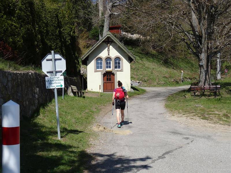 Randonnée : Trail - la ferme du Haag au pied du Grand Ballon