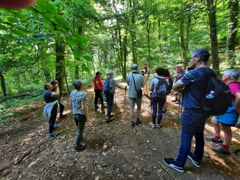 Randonnée : Entre Mont-César et Marais de Sacy