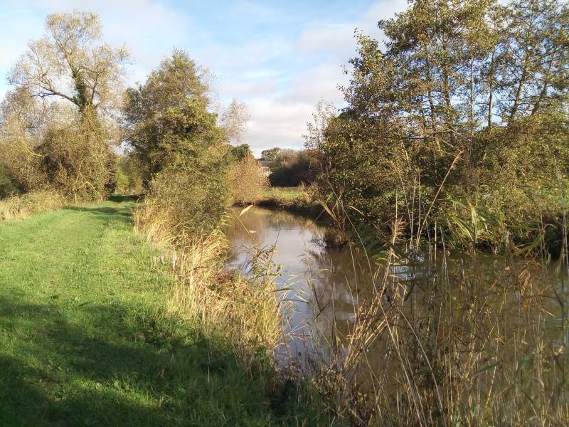 Randonnée : Randonnée Les marais de Neuilly