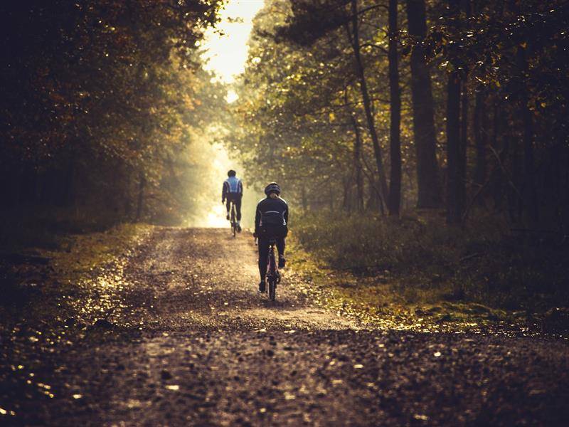 Randonnée : Circuit VTT n°86 de la plage des américains à la Michotte