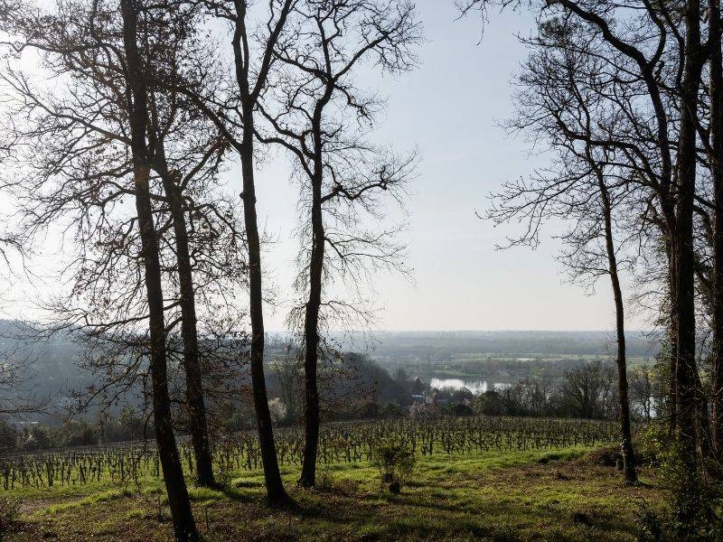 Randonnée : Boucle Cambes/ Baurech/ Saint-Caprais de Bordeaux