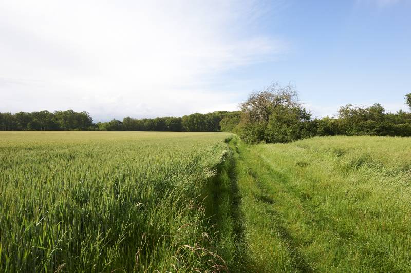 Randonnée : Randonnée à Autrèche