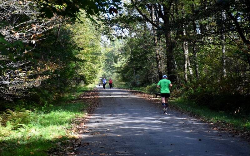 Randonnée : Balade à Roulettes n°38 : La forêt de Bastard à Pau