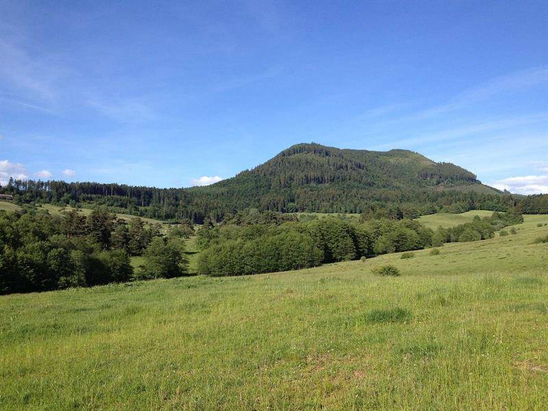 Randonnée : Circuit rando H01 : La clairière du Hang au pied du Climont