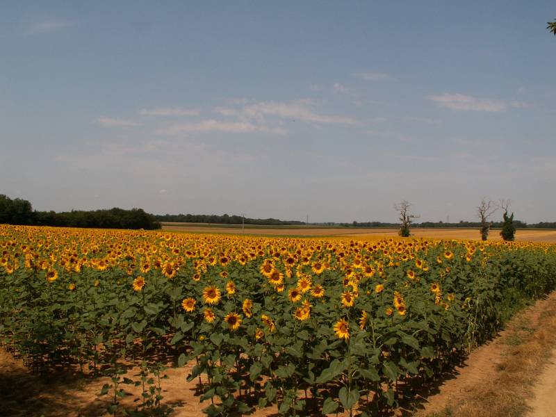 Randonnée : De Pierres en Pierres