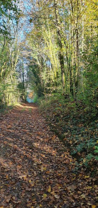 Randonnée : Sentier pédestre du limaçon