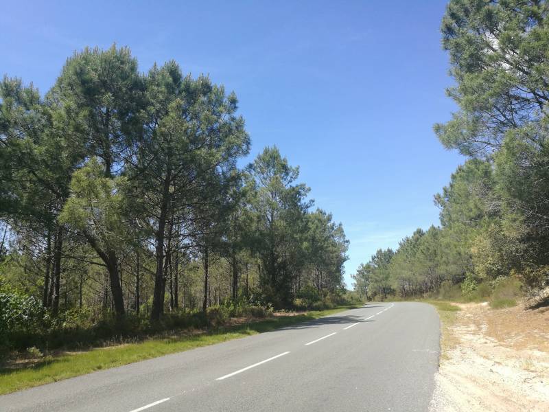 Randonnée : Route des 33 virages - D6E1