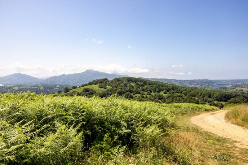 Randonnée : GRP® Tour du Labourd - Lapurdiko itzulia - De Pinodieta à Cambo-les-Bains