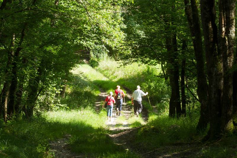 Illustration : Randonnée en itinérance - Bocage du val d 'Anglin