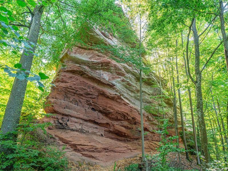 Randonnée : Circuit de randonnée les hauteurs de Dambach par le Hohenfels