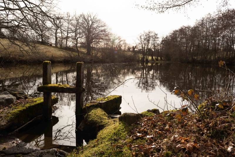 Randonnée : Etangs, châteaux et pâturages