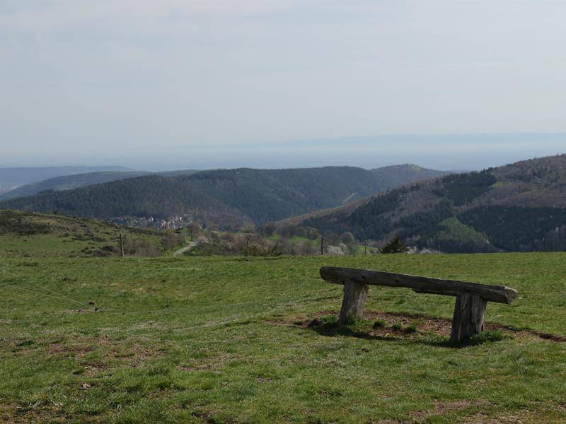 Randonnée : Circuit sur les hauteurs de Grendelbruch