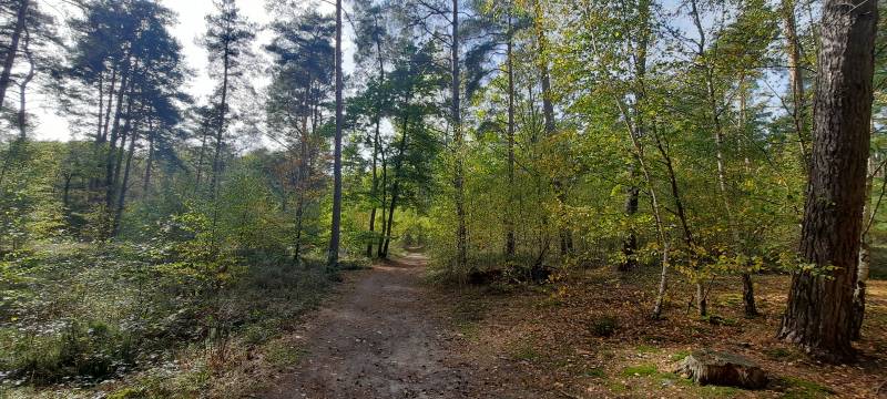 Randonnée : Entre bois et marais