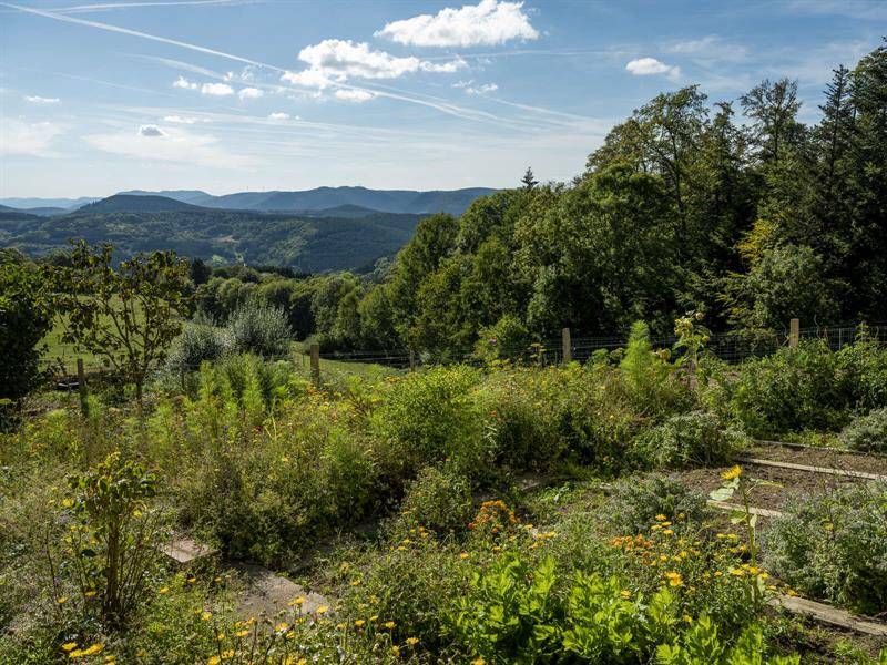 Randonnée : Circuit VTT H07 : Du Promont à Stampoumont