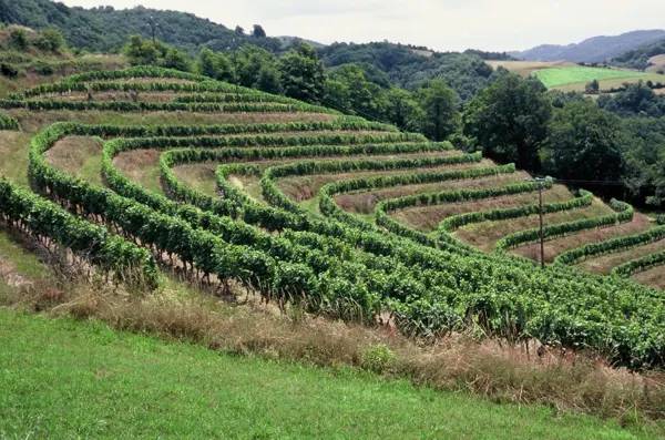 Illustration : La route des vins - Entraygues-sur-Truyère - Le Fel