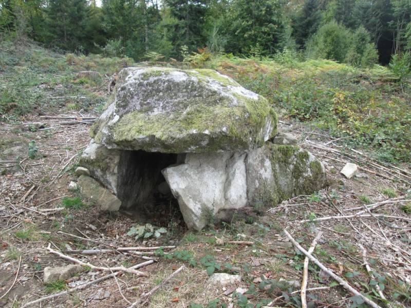 Randonnée : Circuit pédestre n° MO2 Promenade des Dolmens