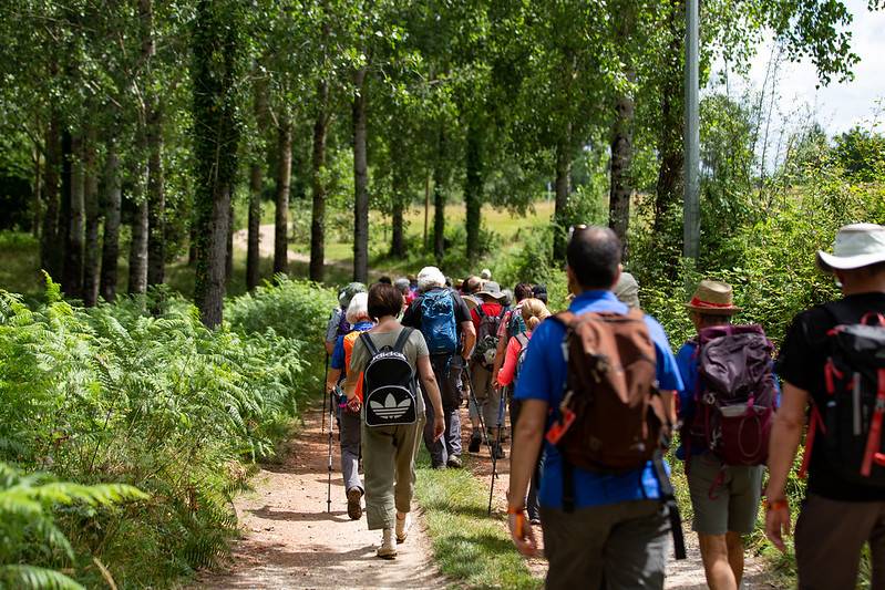 Randonnée : Chemin d'Amadour : étape 7 de Bordeaux à Créon