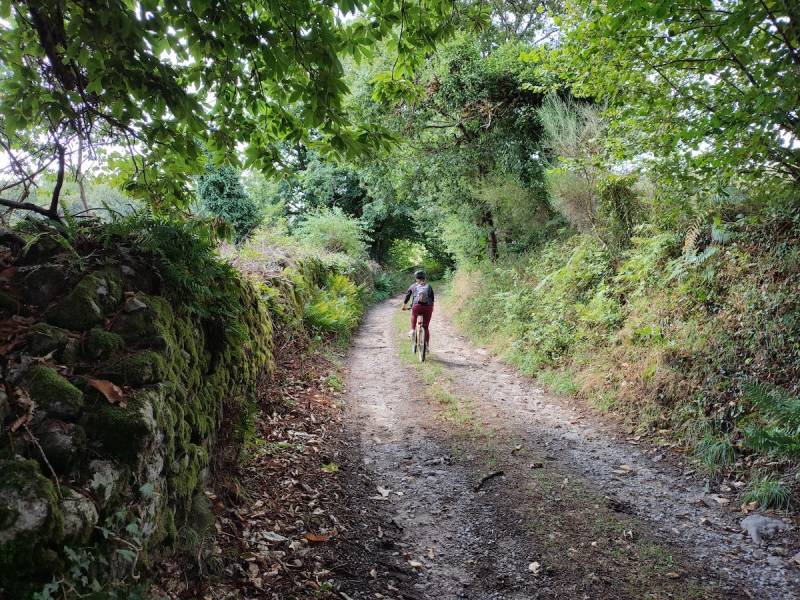 Randonnée : GRP® Monts et Barrages en Limousin - Etape 6 - D'Eymoutiers à Sussac