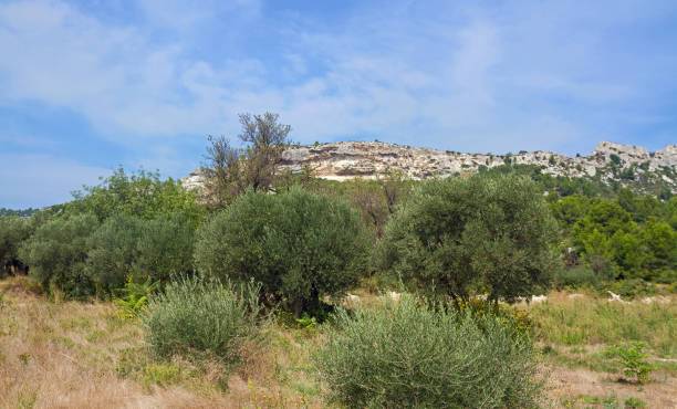 Illustration : Deux villages provençaux au pied des Alpilles