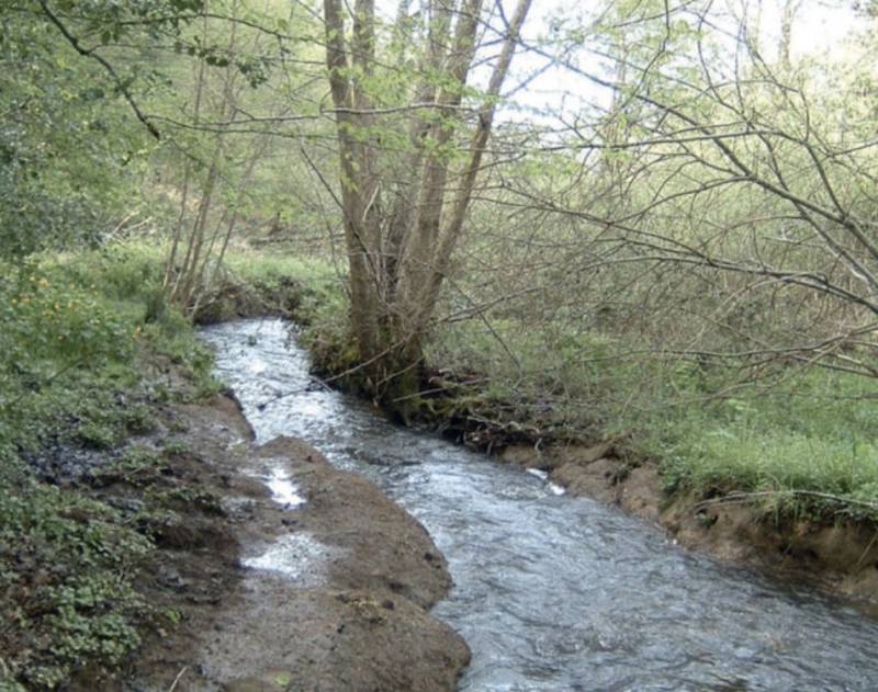 Randonnée : Circuit pédestre : Les Templiers