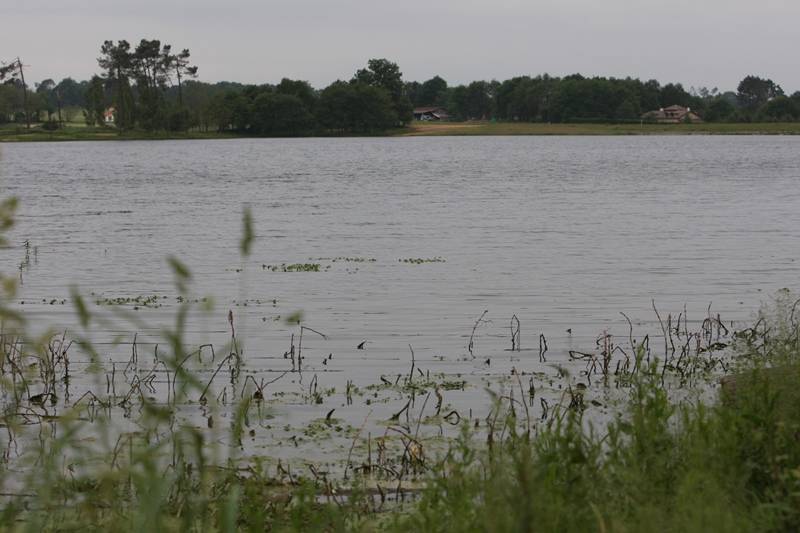 Randonnée : A Hagetmau, circuit des lacs