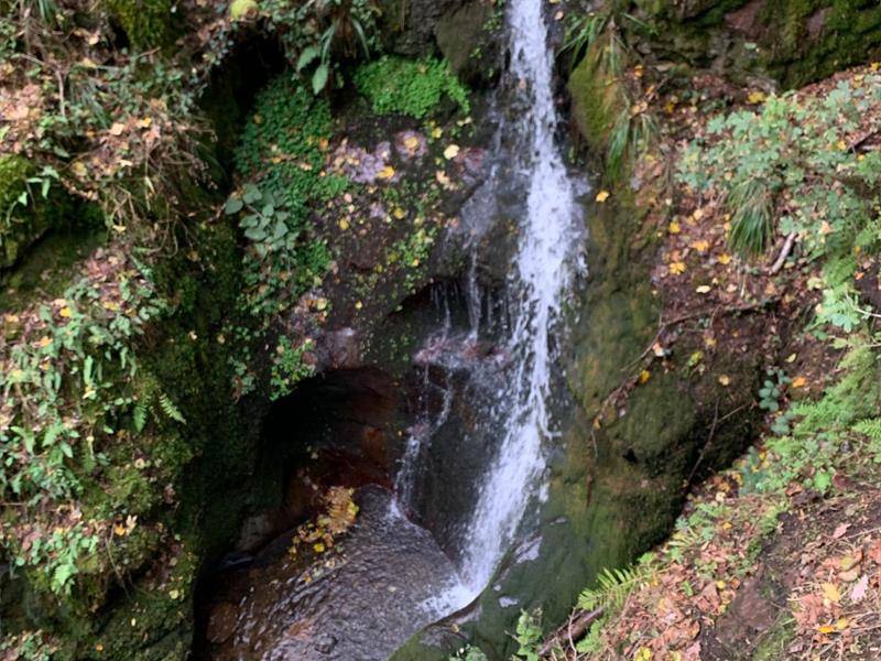 Illustration : Balade : la Cascade de l'Erzenbach