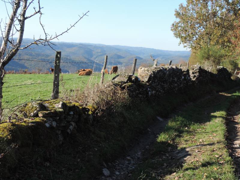 Randonnée : Les Moulinots