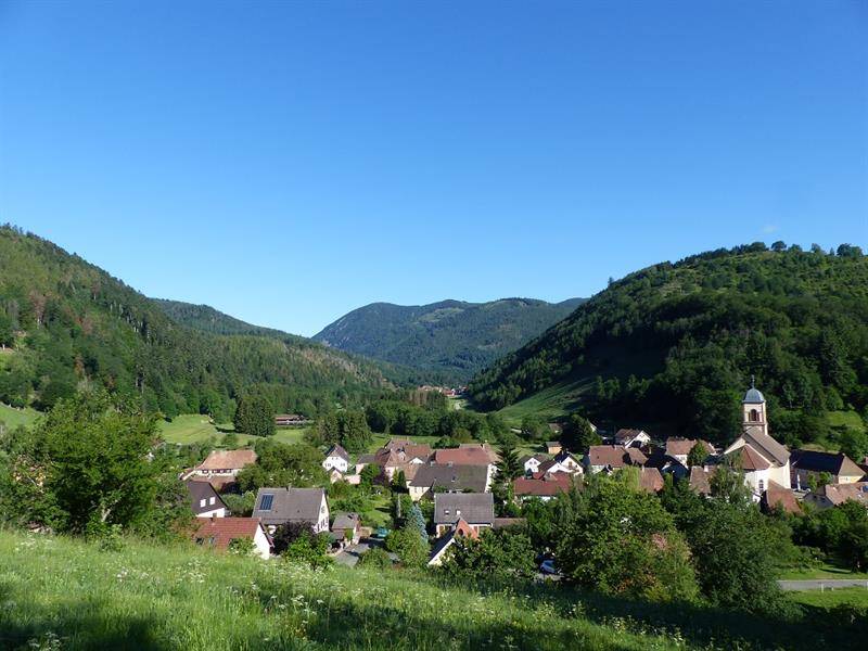Randonnée : Circuit VTT n°21 : La boucle de Mollau