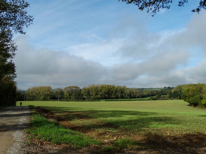 Randonnée : Base VTT sud du Perche - De châteaux en étangs par le chemin de César (rouge-33 Km) C5