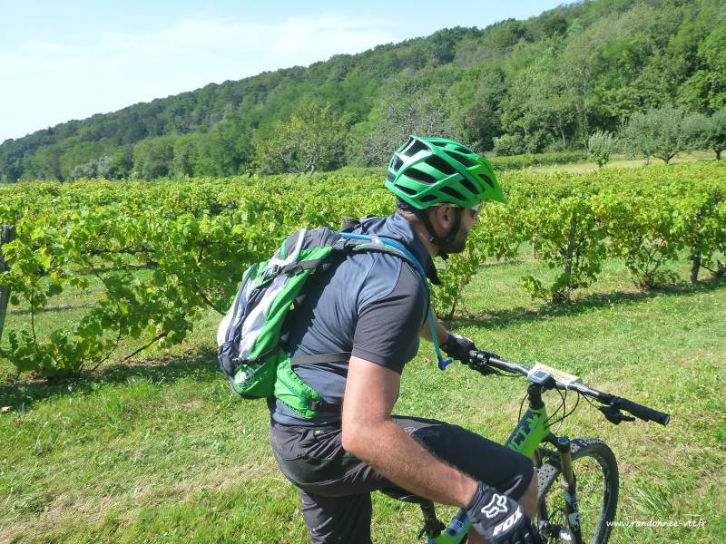 Randonnée : La Pierre qui Vire