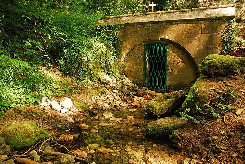 Randonnée : Sentier de découverte de la source de la Marne