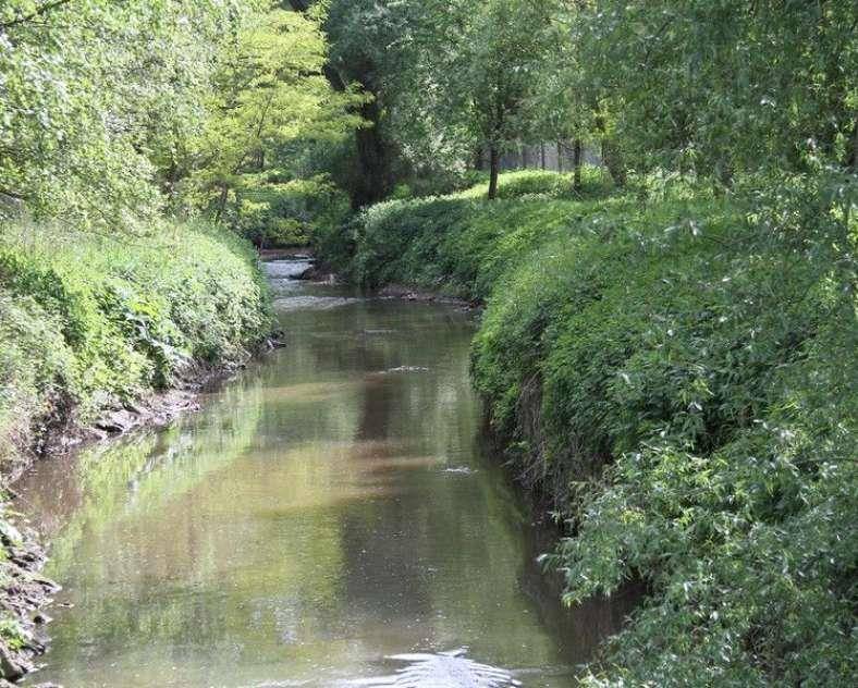 Randonnée : Itinéraire des Berges de la Rosselle