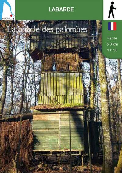 Randonnée : La boucle des palombes